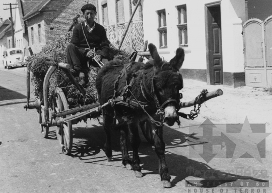 THM-BJ-11734 - Báta, South Hungary, 1976