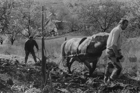 THM-BJ-11860 - Mórágy, South Hungary, 1980